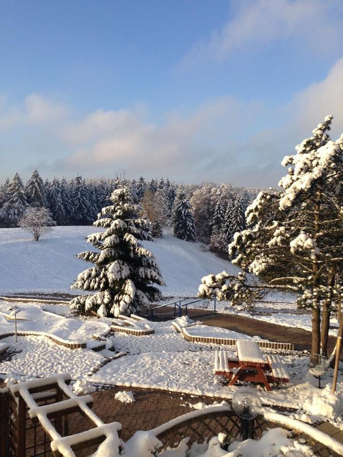 Ferienwohnung "Rodelnde Geiss" Mit Schwimmbad Braunlage Exterior foto