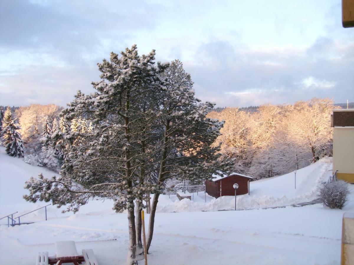 Ferienwohnung "Rodelnde Geiss" Mit Schwimmbad Braunlage Exterior foto