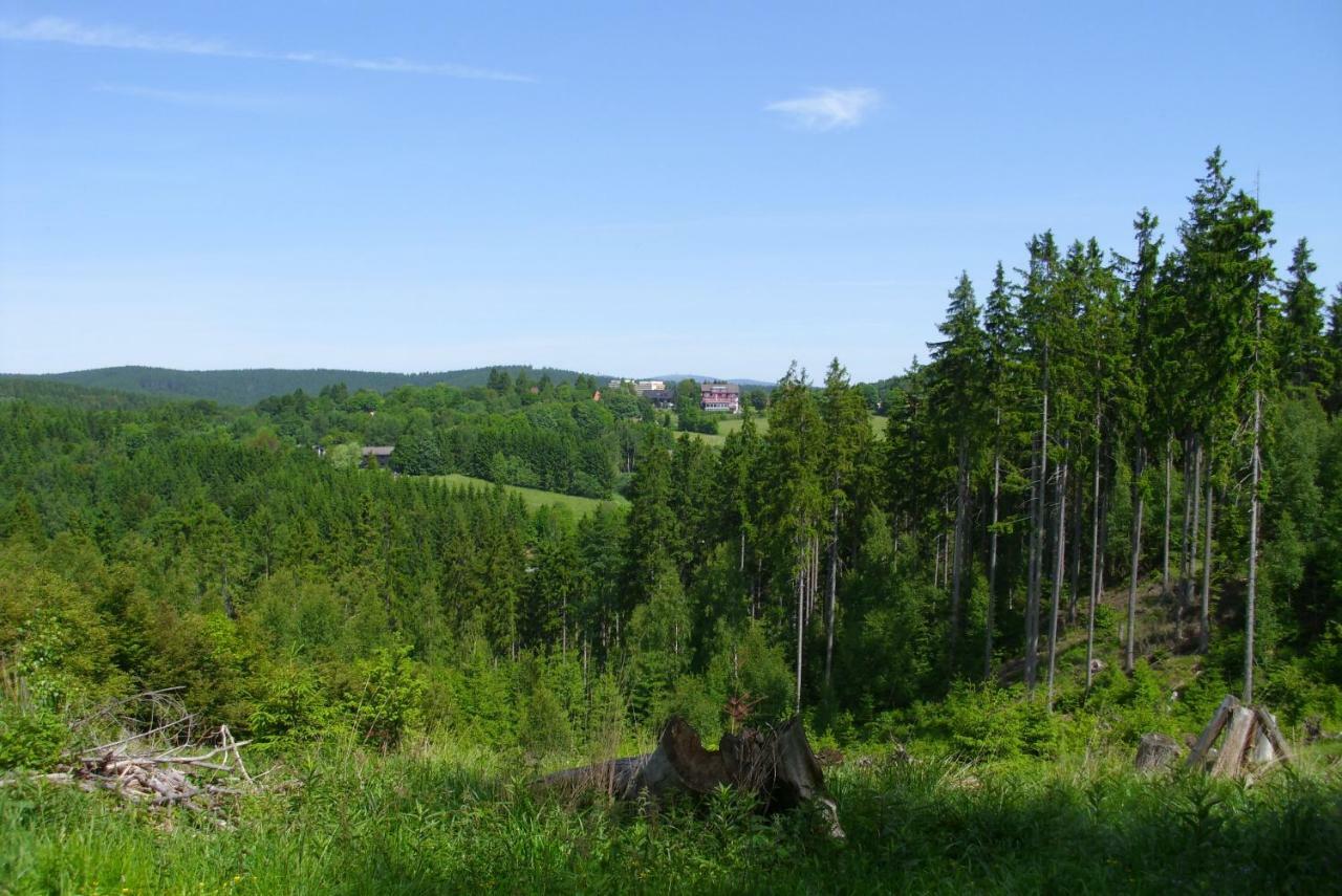 Ferienwohnung "Rodelnde Geiss" Mit Schwimmbad Braunlage Exterior foto